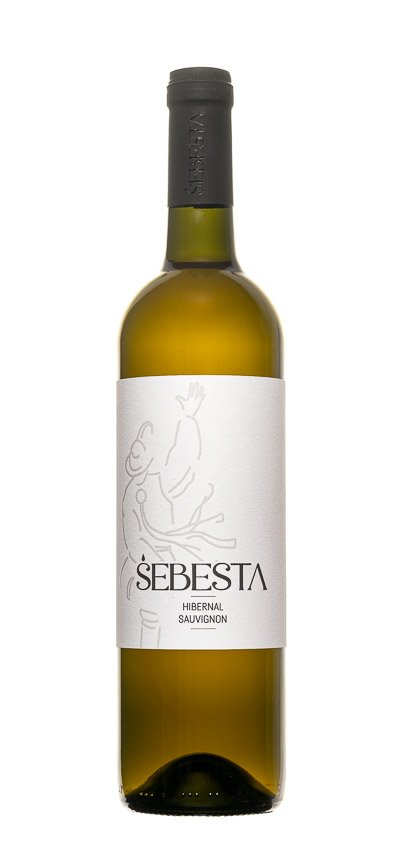 Vinařství Šebesta Vracov Savilon, Sauvignon