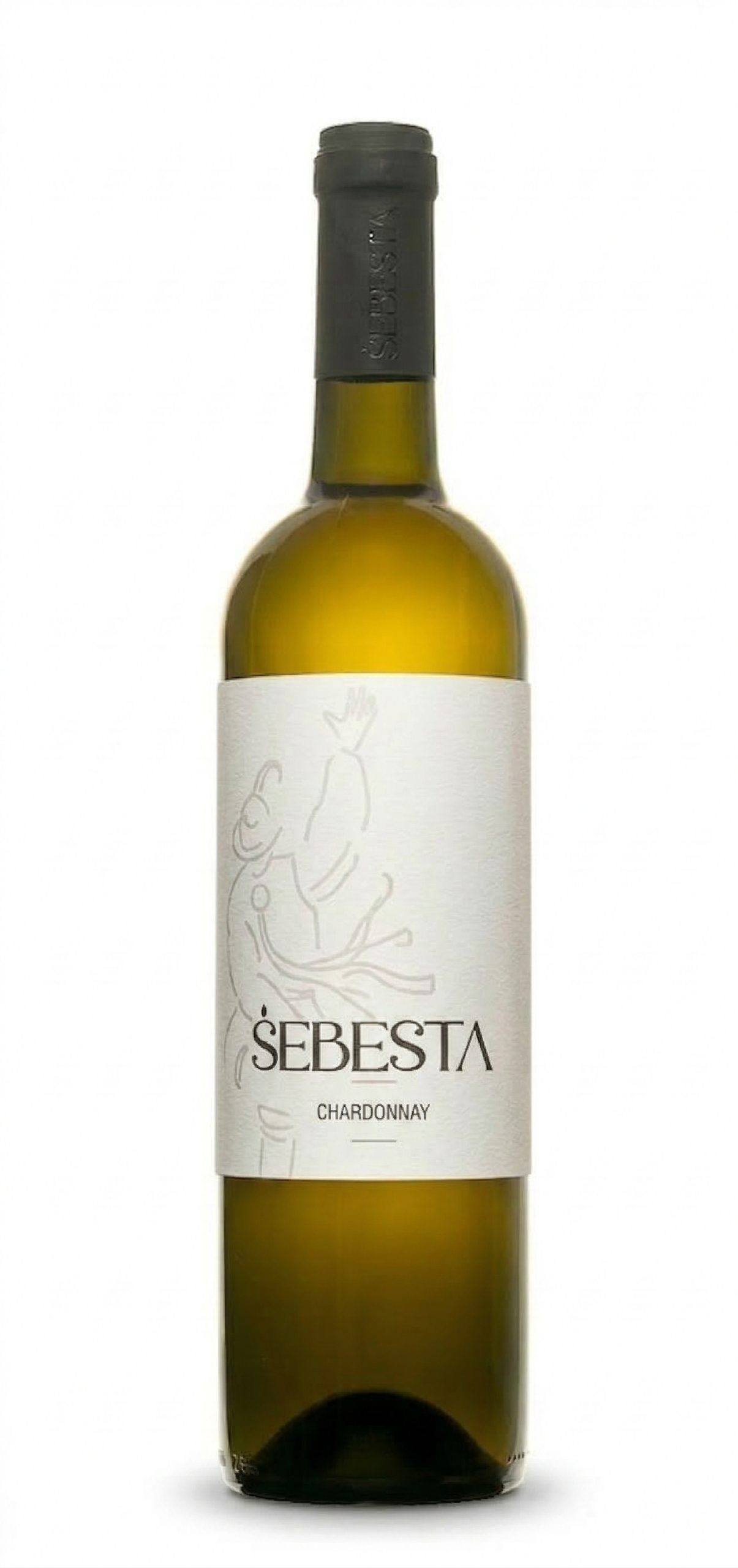 Vinařství Šebesta Vracov Chardonnay 2025
